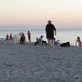 plage de Chien, Venice-Nokmis